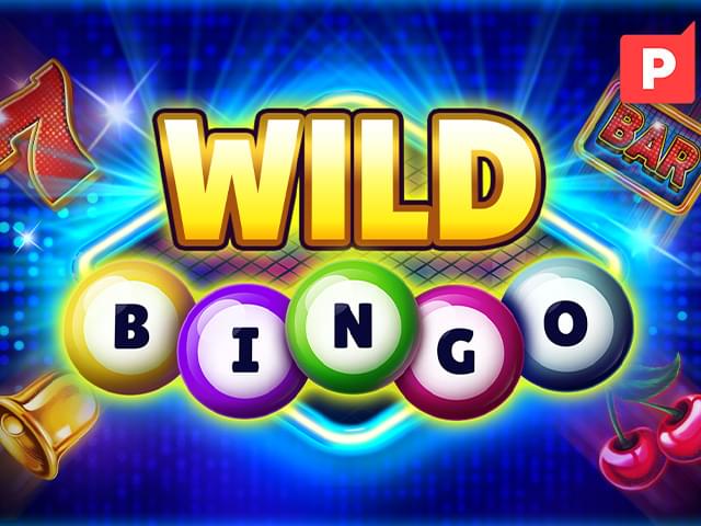 15 win bet Bingo Selvagem